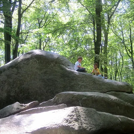 Ada's Buka Auf Dem Felsberg Jaktstuga Lautertal (Odenwald)